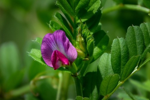 s-_DSC6084-3
