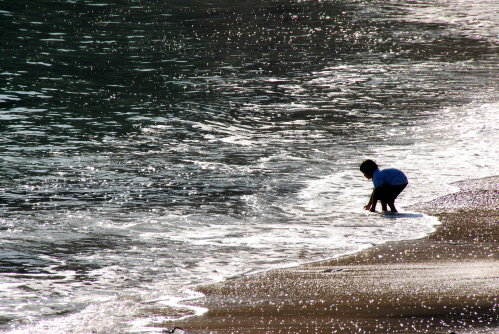 dsc_0032.jpg