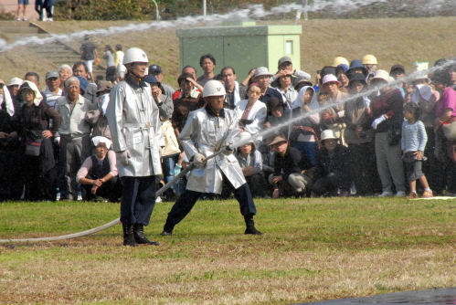 dsc_0012.jpg