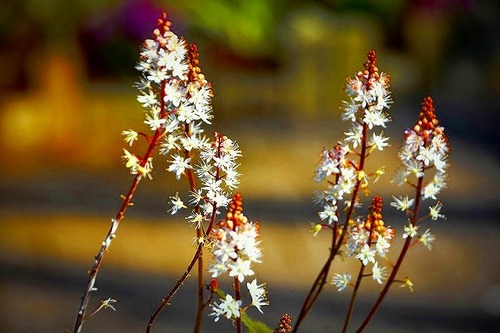s-s-s-_DSC5374-2