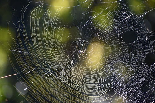 s-_DSC3187 - コピー