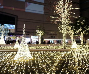 DSCN0014