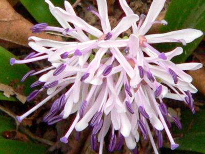FILE0068.jpg