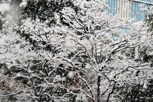 DSCN0002