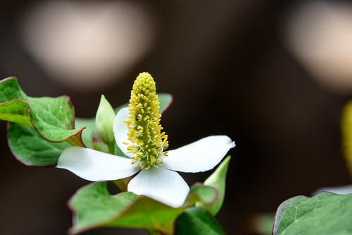 s-_DSC5050-2