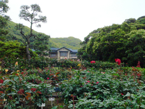file0070.jpg