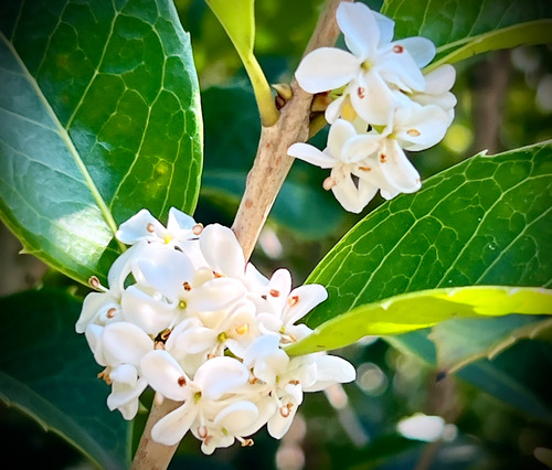 0B9C889A-B1A8-4C6F-B5E2-23E6A1742861