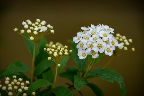 s-_DSC7088-2