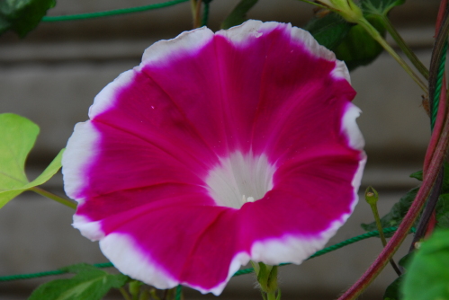 dsc_0034.jpg