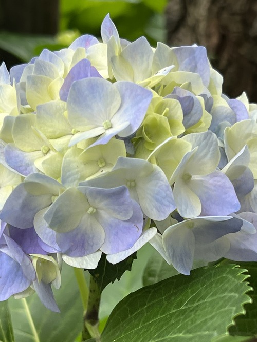 0CE93D2A-46BD-4BAF-BCA6-BCB5CE88B9AE