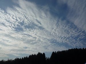 P1030994