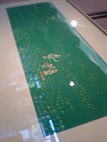 img20080430.jpg