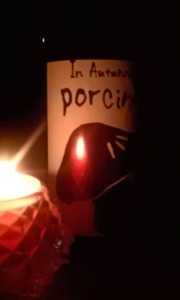 IMAG1774