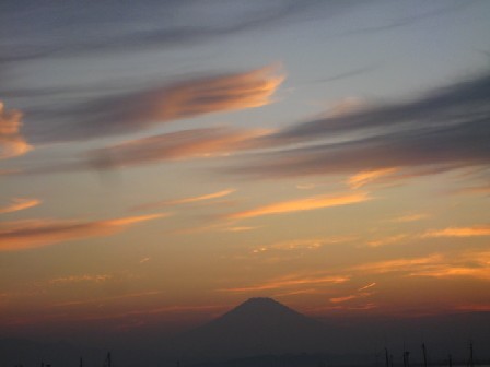 img_9347.jpg