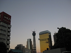 010