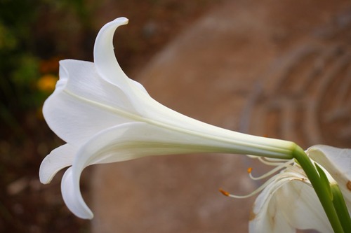 3c