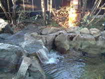 DSCF1023.jpg