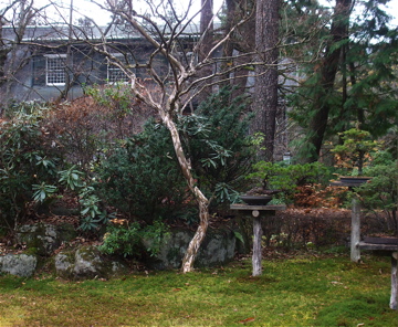 dscf8772.jpg