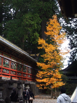dscf8759.jpg