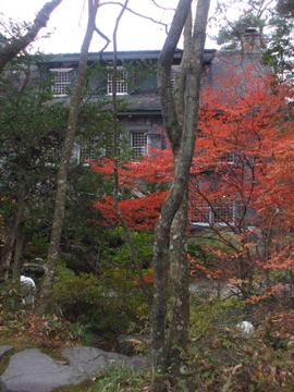 dscf8793.jpg
