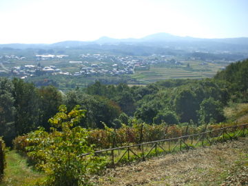 DSCF2206