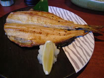 DSCF1026.jpg