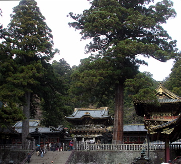 dscf8756.jpg