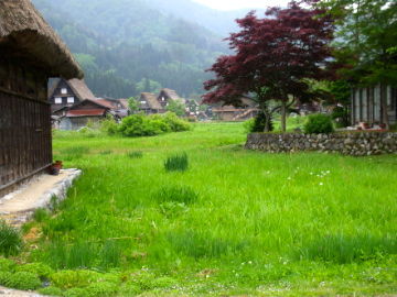 DSCF1888