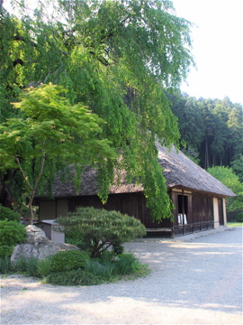 dscf6775.jpg
