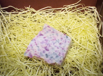 dscf8733.jpg