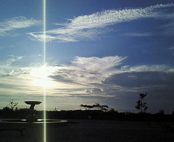 nec_0294.jpg