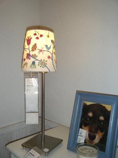 dscf0851.jpg