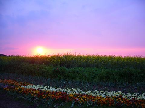 p1050390.jpg