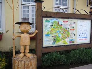 P1010017.jpg