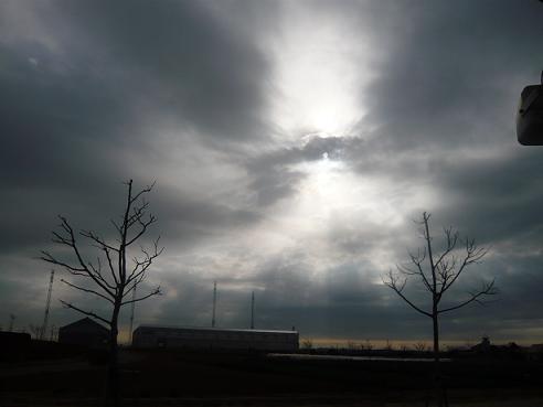 p1010763.jpg