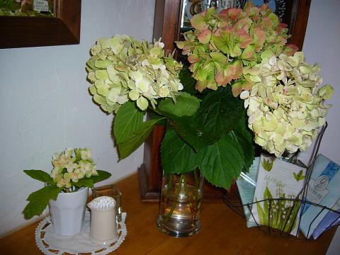 p1050919.jpg