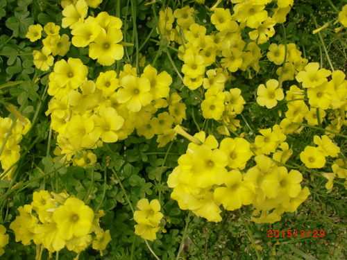 CIMG5635
