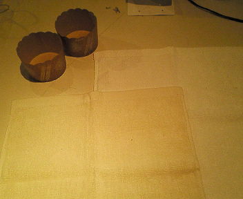 nec_0245.jpg