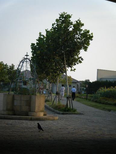 dscf0694.jpg