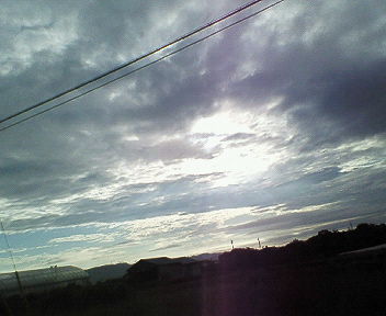nec_0091.jpg