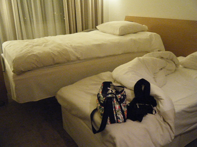 dscf1247_1.jpg