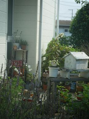 dscf0085.jpg
