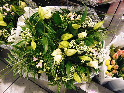 img20090227_9.jpg