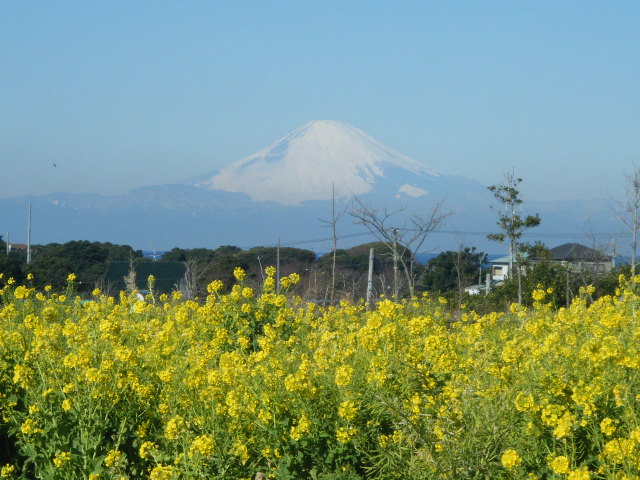 dscf2968.jpg