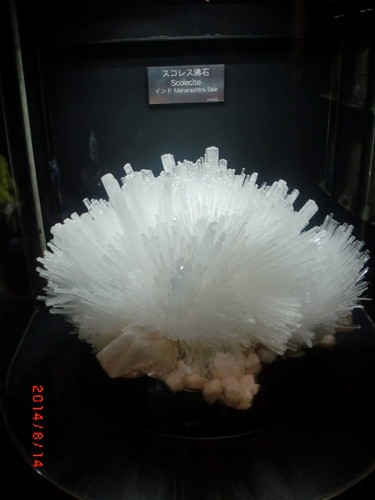 CIMG2849