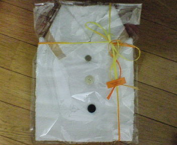nec_0255.jpg