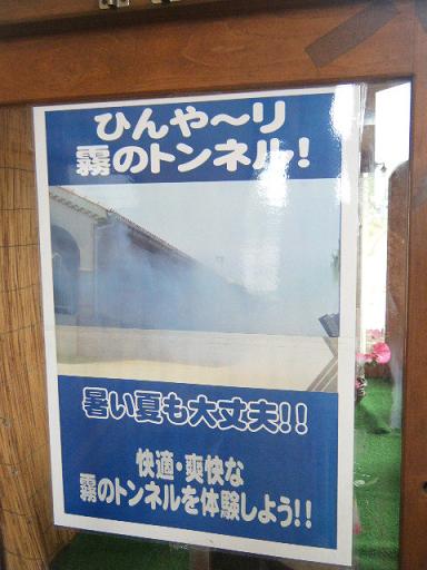 dscf0477.jpg