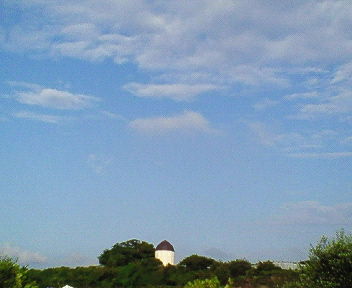 nec_0337.jpg