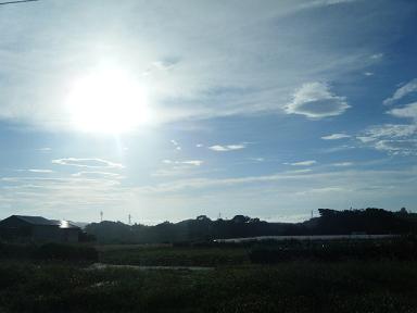 dscf0381.jpg