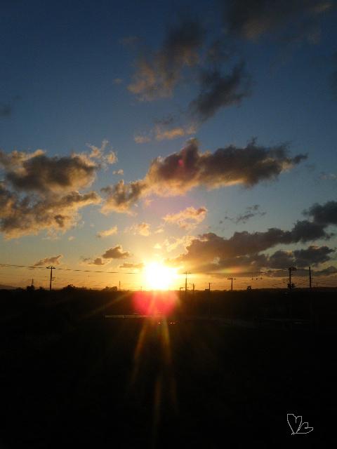dscf2429.jpg